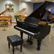 1898 Steinway Model C with Flowerpot Legs - Grand Pianos